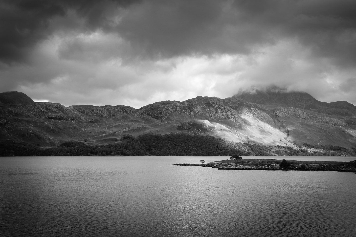 Loch Maree Tree